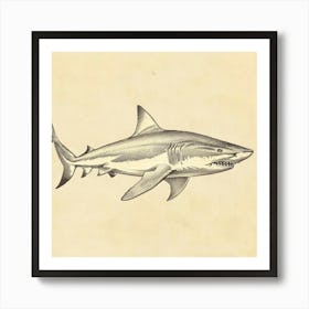 Largetooth Cookiecutter Shark Vintage Illustration 4 Art Print