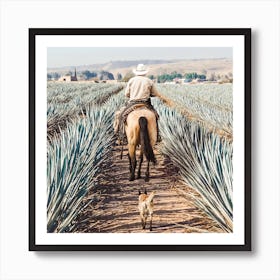 Farmer Checking Agave Fields Square Art Print