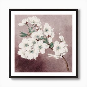 Cherry Blossoms 1 Art Print