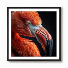 Flamingo Portrait Art Print