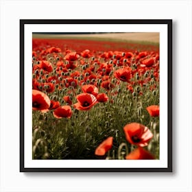 Poppy Field 1 Art Print