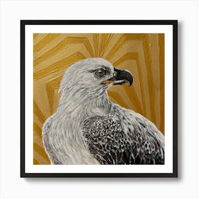 White falcon Art Print