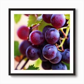 Grapes On The Vine 11 Art Print
