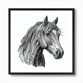 Horse Head Drawing Art Print