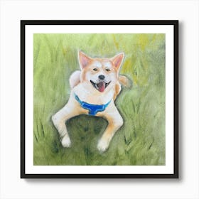 Shiba Inu Art Print