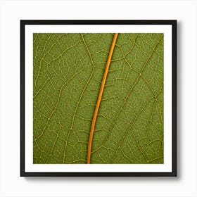 A Macro Shot Of A Textured Leaf With Intricate Vein Patterns Art Print