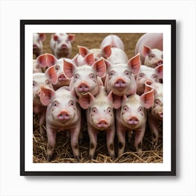 Pigs On A Farm Art Print