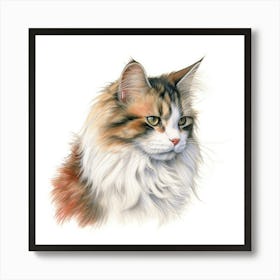 Ragamuffin Cat Portrait Art Print