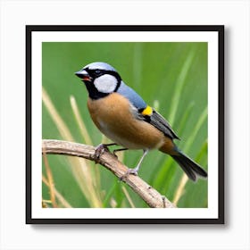 Tit on branch 59 Art Print