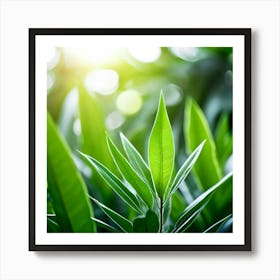 Ecology Plant Green Nature Garden Flora Fresh Leaf Summer Natural Environment Spring Gra (7) Art Print