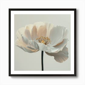 White Poppy Art Print