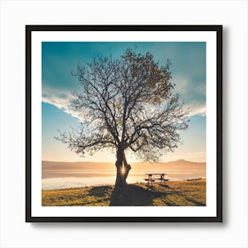 Sunset Tree 1 Art Print