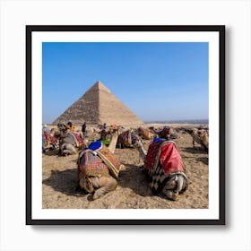 Camels In Front Of Pyramids Poster