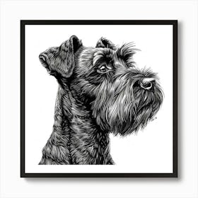 Cesky Terrier Dog Line Sketch 1 Art Print