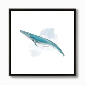 Blue Whale Art Print