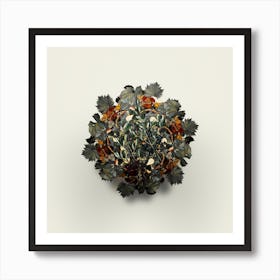 Vintage Wild Olive Fruit Wreath on Ivory White n.2027 Art Print
