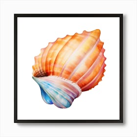 Colorful Sea Shell Isolated On White Photo Art Print