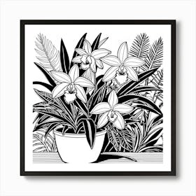 Orchids In A Pot Art Print
