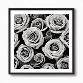 Black And White Roses 24 Art Print