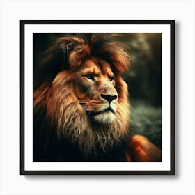 A powerful and majestic lion in its natural habitat2 Art Print