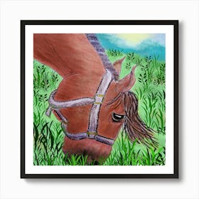 Horse In The Grass Art Print