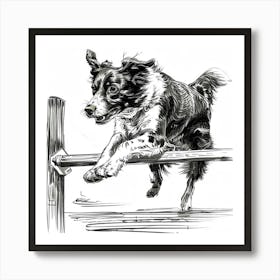 Border Collie Jumping Over Fence Art Print