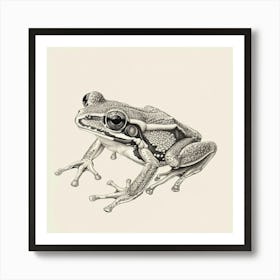 Tree Frog Art Print