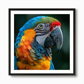 Colorful Parrot 16 Art Print