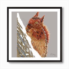 Squirrel. 1 Art Print