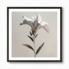 Lily Of The Valley Art Print