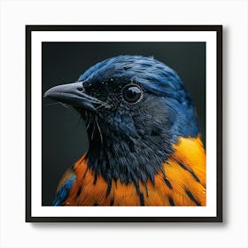 Blue And Orange Bird 1 Art Print