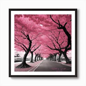 Pink Cherry Blossoms 1 Art Print