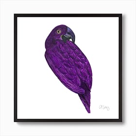 Purple Parakeet 2 Art Print