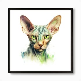 Don Sphynx Green Eyed Cat Portrait Poster