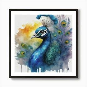 Peacock Canvas Print 1 Poster