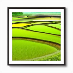 Rice Fields In Vietnam 6 Art Print