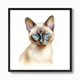 Tonkinese Mink Cat Portrait Art Print