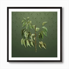 Vintage Common Hackberry Botanical on Lunar Green Pattern n.2012 Art Print