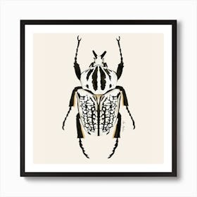 Beetle Black And White Square Art Print