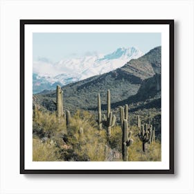 Snowy Desert Mountains Art Print