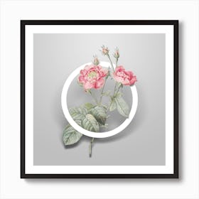 Vintage Anemone Centuries Rose Minimalist Flower Geometric Circle on Soft Gray n.0205 Art Print