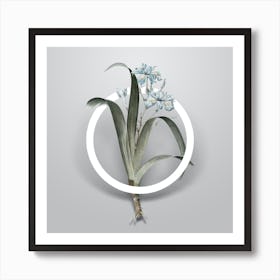 Vintage Iris Fimbriata Minimalist Flower Geometric Circle on Soft Gray n.0547 Art Print
