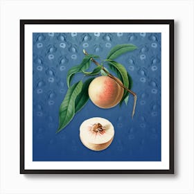 Vintage Peach Botanical on Bahama Blue Pattern n.2049 Art Print