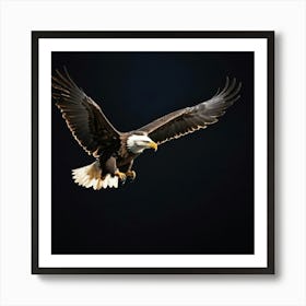 Bald Eagle In Flight Art Print