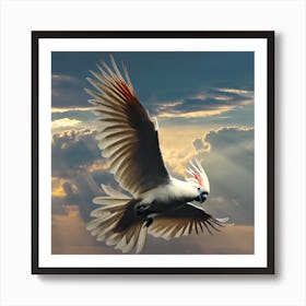 Cockatoo In Flight Art Print