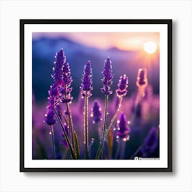 Sunset With Lavender Flowers Art Print