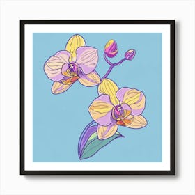 Orchid Flower Art Print