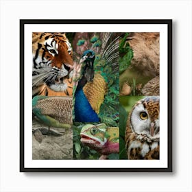 Collage Of Zoo Animals Art Print