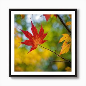 Maple Leaf 1 Art Print