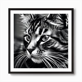 Black And White Cat 31 Art Print